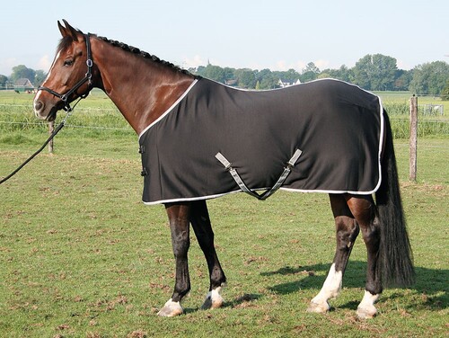 Harry's Horse Jersey cooler Decke